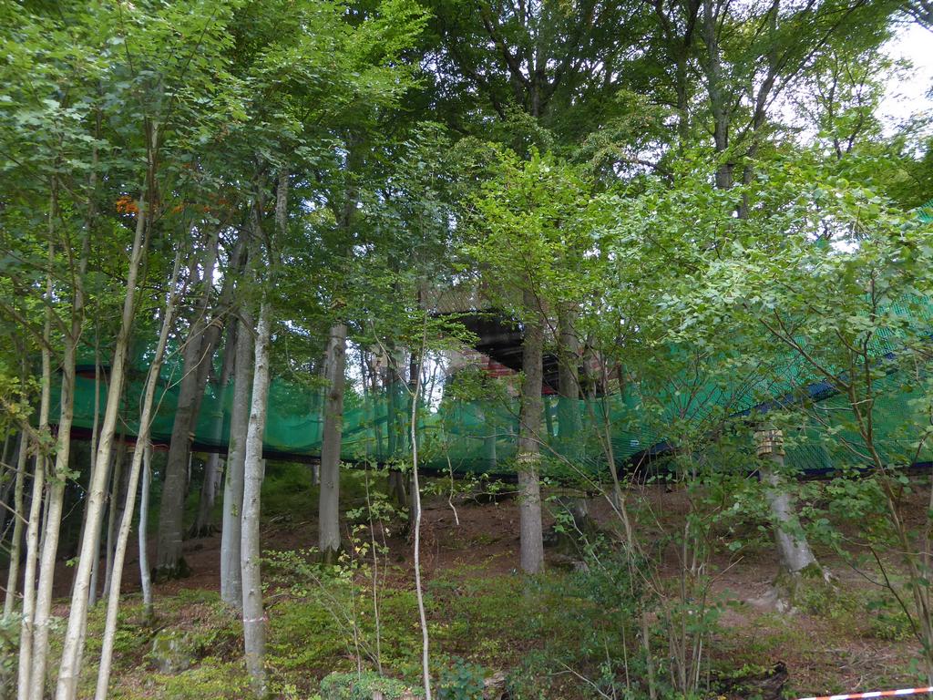 {Clic pour voir plus grand}