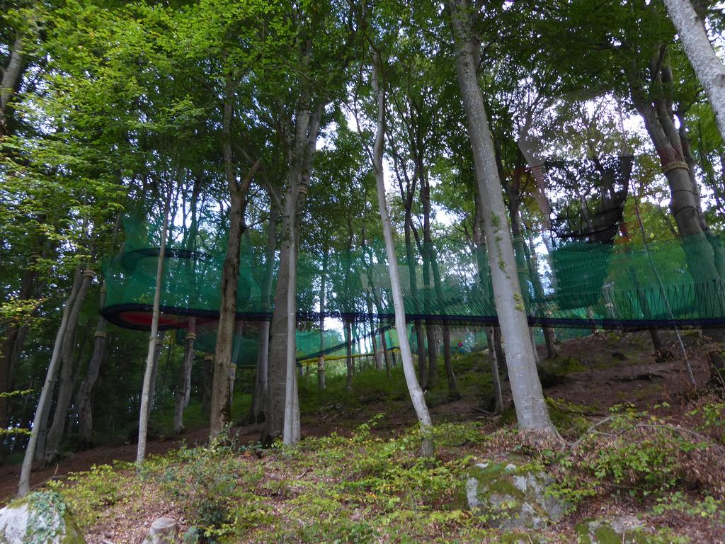 {Clic pour voir plus grand}