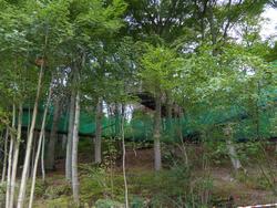 Click to see big picture (1024x768 pixels; 223 KB)