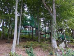 Click to see big picture (1024x768 pixels; 224 KB)