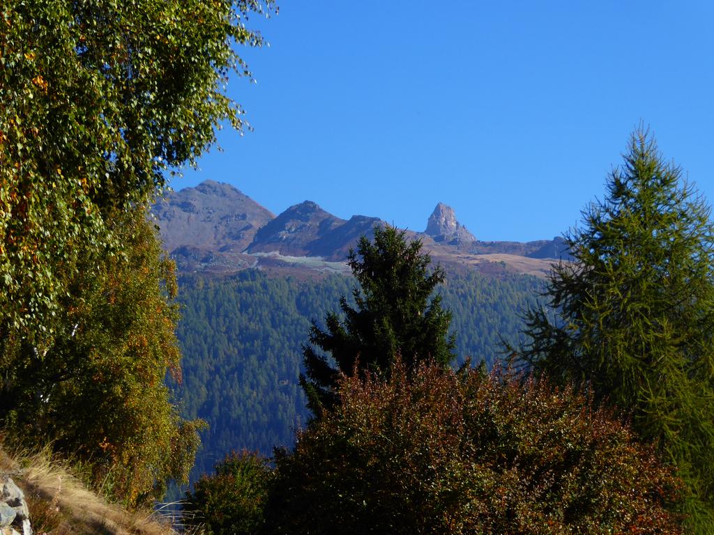 {Clic pour voir plus grand}