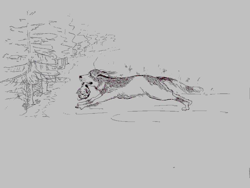 Cliquer pour voir l'image suivante