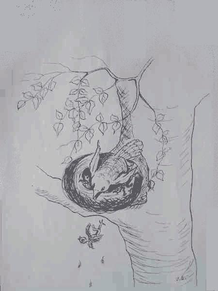 Cliquer pour voir l'image suivante