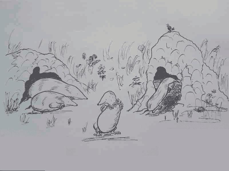 Cliquer pour voir l'image suivante