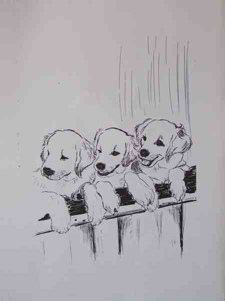 Cliquer pour voir l'image suivante