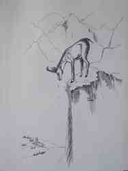 Cliquer pour agrandir l'image (450x600 pixels; 21 KB)